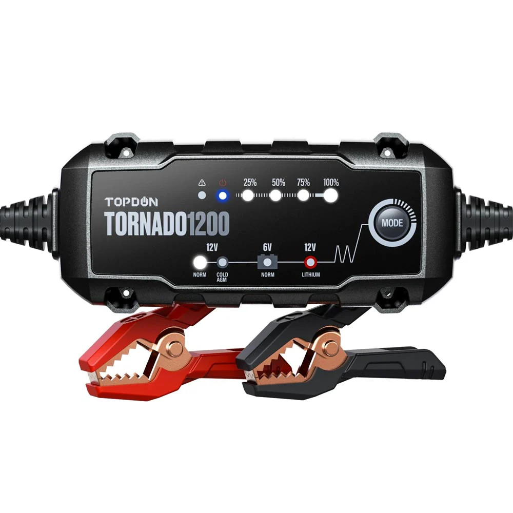 Will this item charge a depleated 12v battery within 8 hrs?